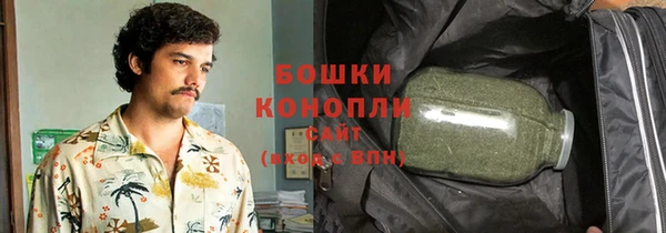 дмт Горно-Алтайск