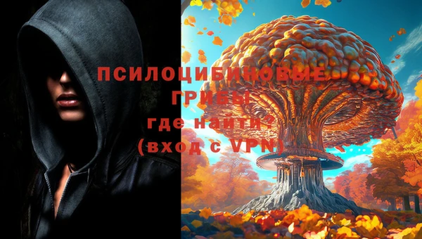 дмт Горно-Алтайск