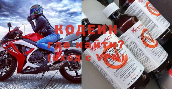 ГАЛЛЮЦИНОГЕННЫЕ ГРИБЫ Гусиноозёрск