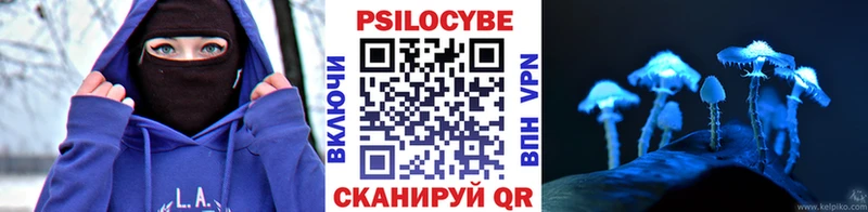 Псилоцибиновые грибы Psilocybe  купить наркотики цена  Дальнереченск 
